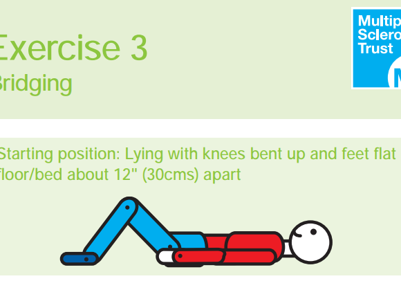 The MS Trust Exercise Guide