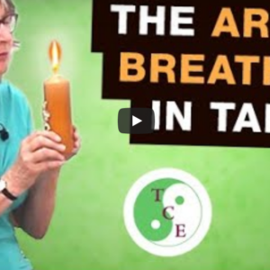Tai Chi The Art of Breathing