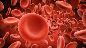 Red blood cells travelling along a vein