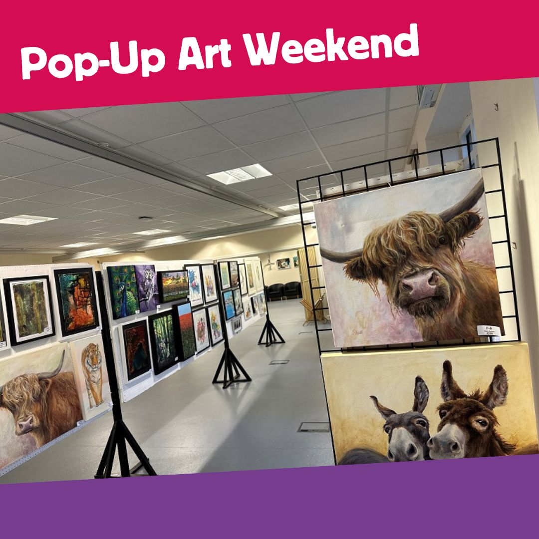 View of an art exhibition with several paintings in the background. In the foreground is a painting if a highland cow. There is a pink banner above the image with text saying pop-up art weekend and a purple banner below.